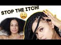 HOW TO PREP & MAINTAIN HAIR & SCALP FOR BOX BRAIDS