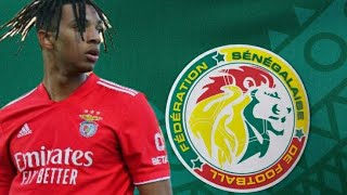 Cher Ndour Lincroyable Pépite Sénégalo-Italien Qui Évolue Au Benfica B