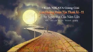 Kinh NIKAYA Giảng Giải - Con Đường Đoạn Tận Tham Ái 11 - Sự Nguy Hại Của Năm Uẩn