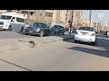 معالم مدينة السلام من جوة