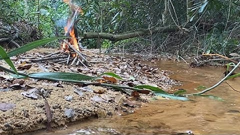 Cắm câu và thưởng thức món cá nướng trui bên bờ suối