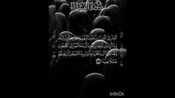 سوره النساء عدد آياتها ١٧٦ آيه (سوره مدنيه ) الآيه ٦٠