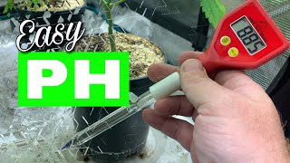 How I avoid ever having PH problems. #spiderfarmer