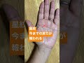 人差し指と中指の間の星紋⭐️努力が報われる