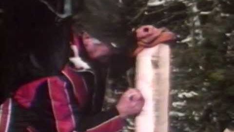 The Hemlo Gold Story