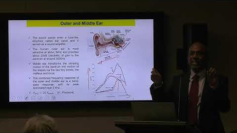 Cochlea Modelling: Future Directions - by Professor Eliathamby Ambikairajah