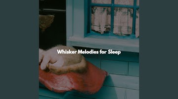 Simplistic Co-Working Space