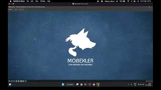 Setting up Mobexler