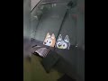 Coin Container Hack