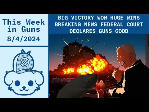 This Week in Guns 8/4/2024 - FRT Update, Significant Federal Case Updates, Plus Total Nonsense