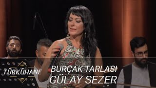 Türkühane I Gülay Sezer - Burçak Tarlası Resimi