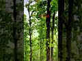 #islam#islamic#islamicvideo#islamicstatus#trending#viral#viralvideo#shortvideo#short#youtubeshorts