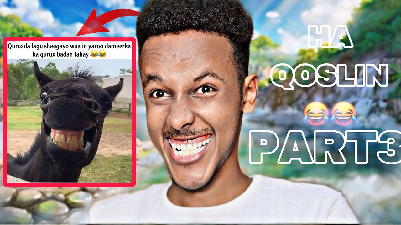 ISKU DAY IN AADAN QOSLIN QAYBTA 3AAD😂😂