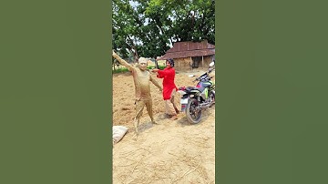 #song #love #unfrezzmyaccount #music #spotify #funny #lifeisbutadream #april11th #comedy