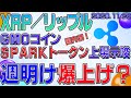【リップル】仮想通貨　再上昇開始？！国内初！ＧＭＯコインがＳＰＡＲＫトークン上場示唆。〈今後の値動きを初心者にもわかりやすくチャート分析〉２０２０．１１．２８