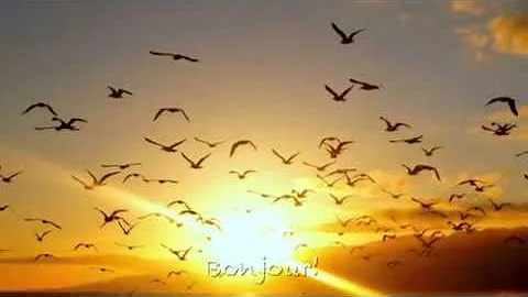 IT'S A GOOD DAY ~ Francine Jarry