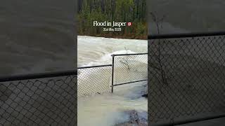 Flood in Jasper Alberta 🇨🇦!!#viral #flood #shorts #short #fyp #trending #new #nature #love #fishing
