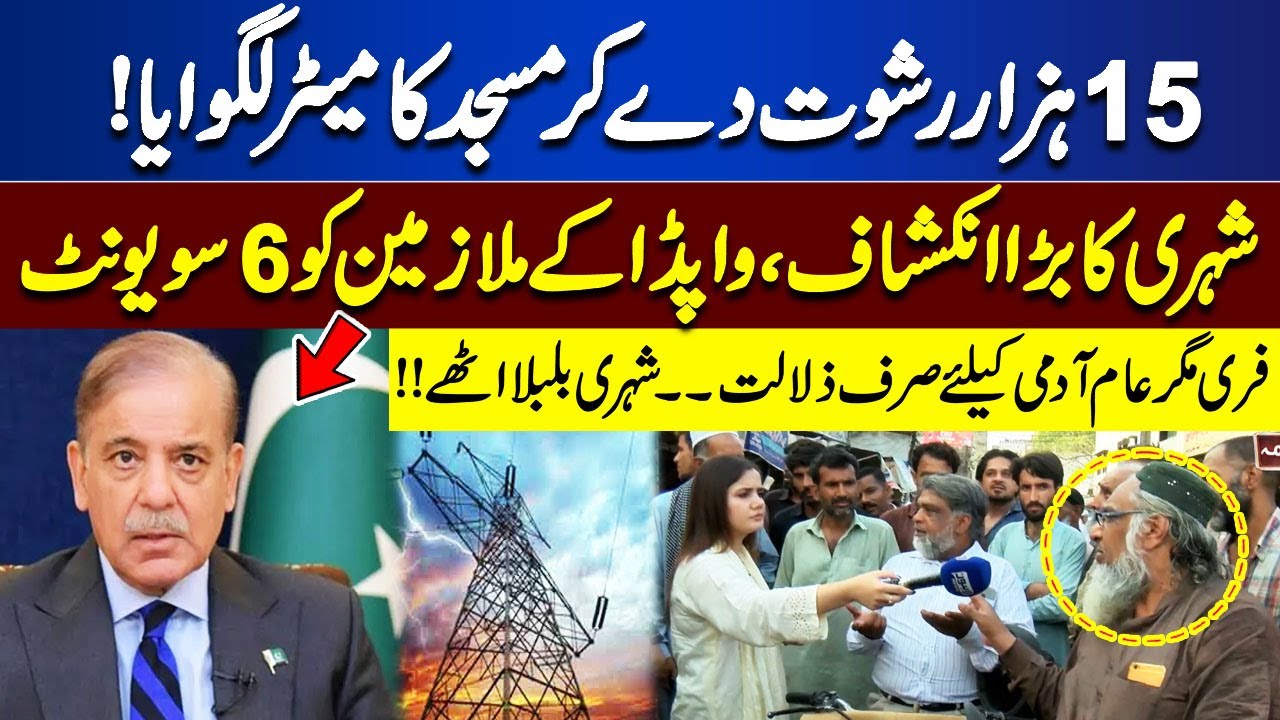 Big Revelation of the Citizens, the Reality of WAPDA Employees Has Come Out | Lahore Nama