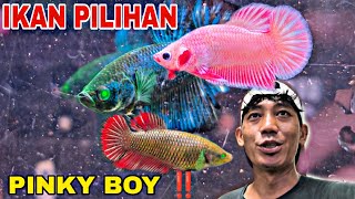 Download lagu Next we choose for the parent