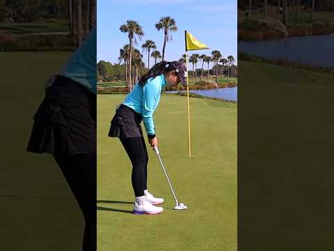 Video: Golfbaner i Bermuda