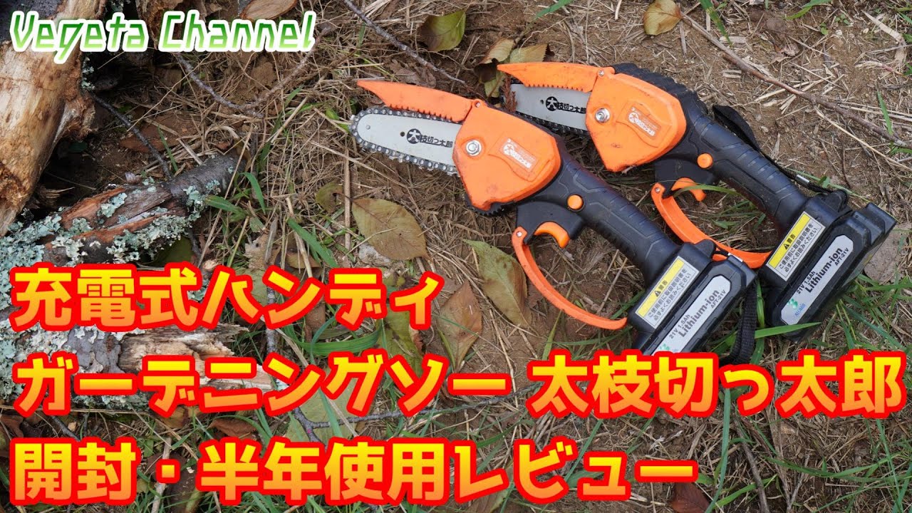 アルミス 充電式ハンディチェーンソー太枝切っ太郎 AFT-21V開封・半年