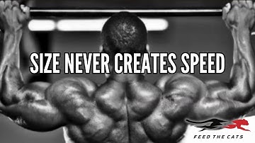 Feed the Cats-aanpak van krachttraining versus snelheidstraining