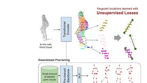 3D Human Keypoints Estimation From Point Clouds in the Wild Without Human Labels (CVPR
