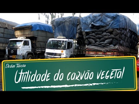 Vídeo: IFTS - o que é? Autoridade da organização