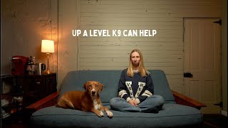 Need help communicating with your dog? screenshot 4