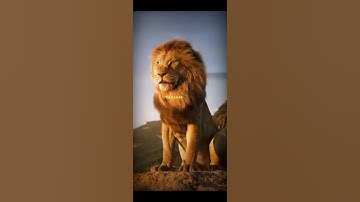 Best Rajput Attitude Status 2020 | Rajputa Blood | New Rajput Song | New Rajputana Video🙏