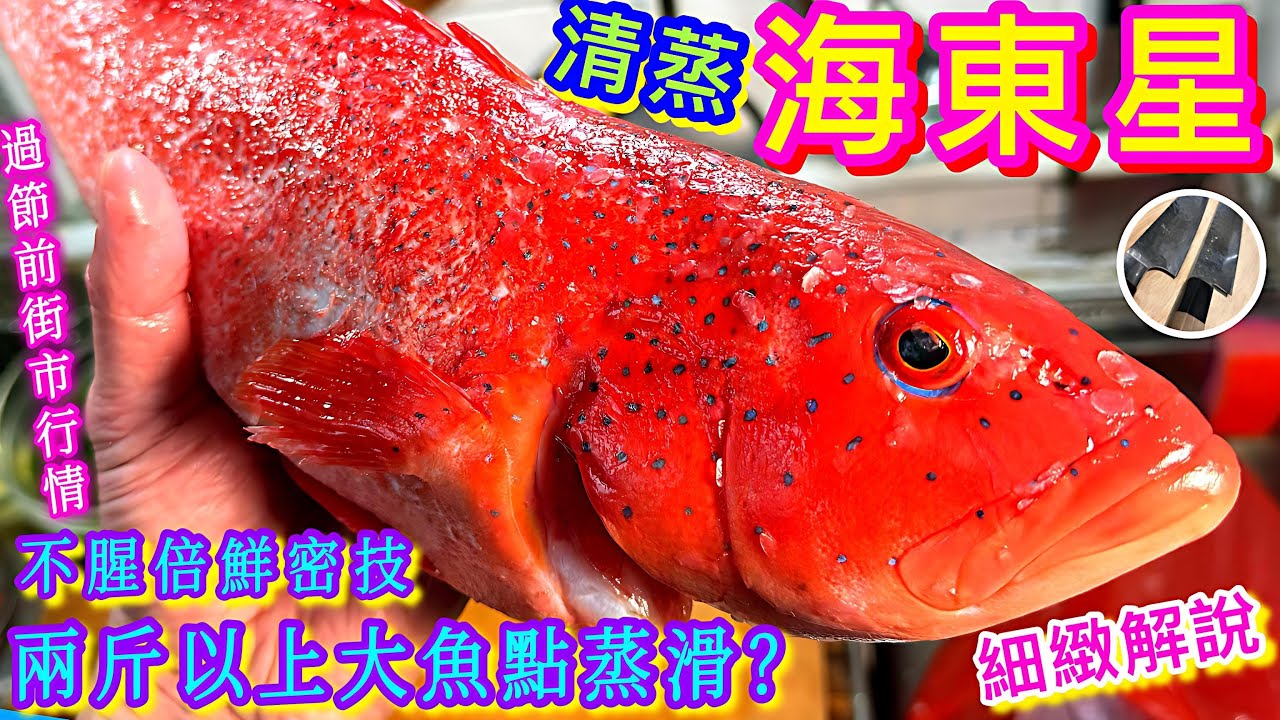 【清蒸☘️海東星班🐟】香口🟡鮮味🟢滑嫩🟣 大魚細鑊🥘清蒸密技💠 絕不留腥味💫美味由選購開始🙌🏼😁😊