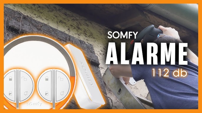 Somfy IntelliTAG Détecteur de Vibration pour Portes et Fenêtres - Blanc  (Paquet de 5)