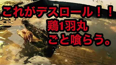 تحميل デスロール تحميل デスロール