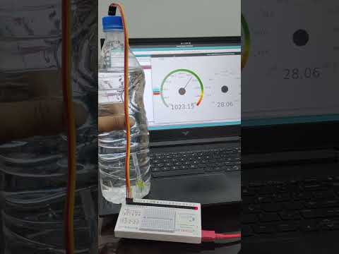 Cartesian diver with