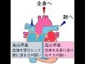 看護学生講座 231 循環器 ｢心不全① 主な症状と起こるメカニズム｣