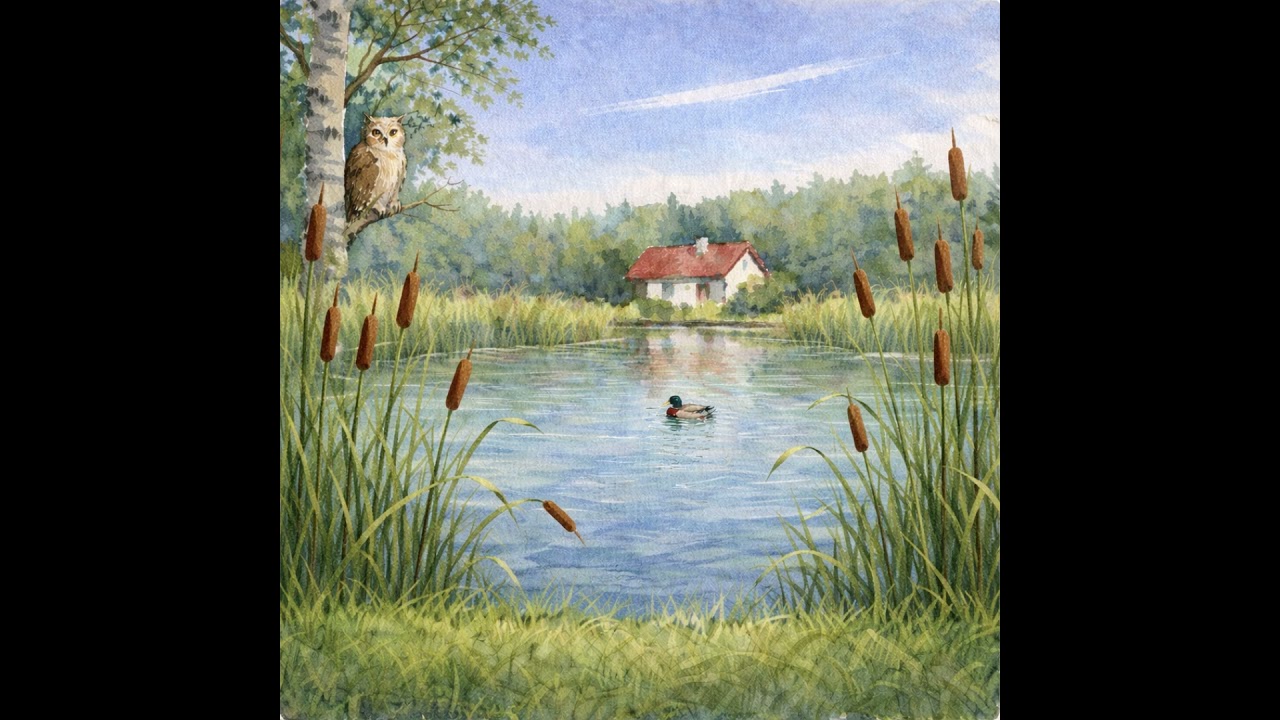 Die Ente und die Eule