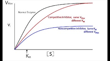Steady State Summary: Enzyme Kinetics