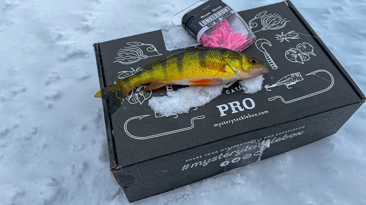 Ice Fishing Mystery Tackle Box! 2024