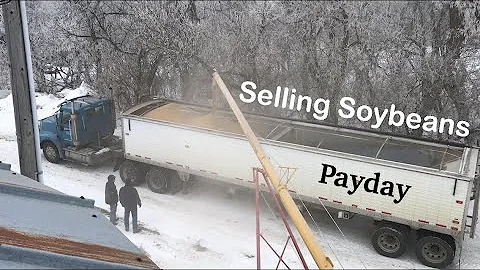 Selling Our Organic Soybeans and Other Wednesday  - Thursday Farm Stuff!