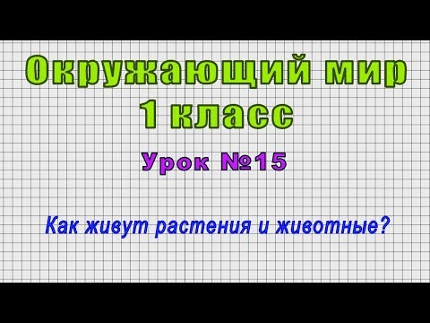 Видео: Какви растения и животни трябва да живеят