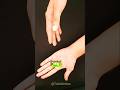 World's Best Candy Trick 🤣🤣🤣🤣🤣 Easy Trick Magic 🍬🍬🍬#funny #magic #entertainment #trick