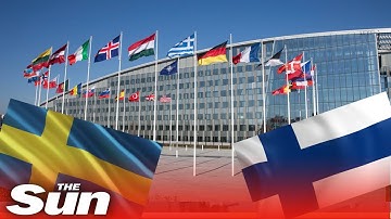 Finland and Sweden submit application to join NATO