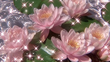 Lucky Era Hypnosis 🪷 Everything Works in Your Favor Now