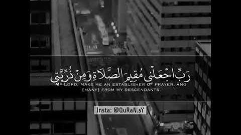 ❤القران الكريم ❤حياه الروح 😍😍