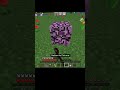 Shulker box crazy hack #minecraft #viral
