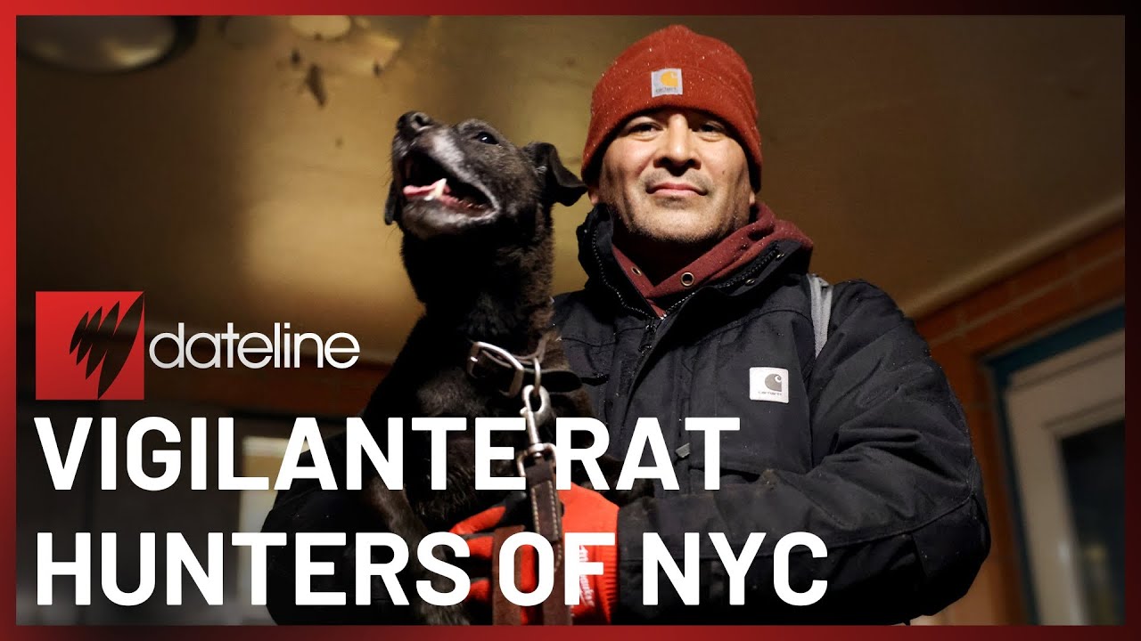 New Yorkers and their dogs on the front lines of the city's war on rats | SBS Dateline