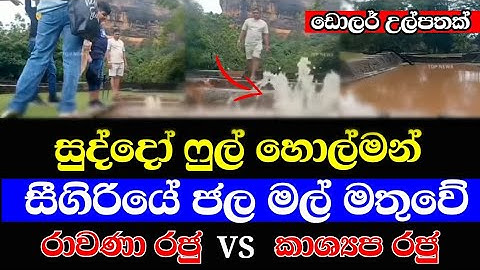 මහ වැසි මැද සීගිරියේ ජල මල් මතුවේ 😱😍