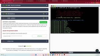 TryHackMe Subdomain Enumeration answers