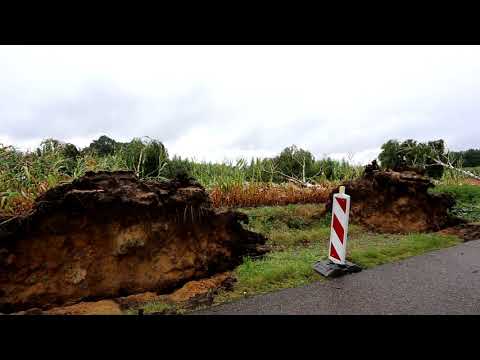 [VIDEO] Windhoos treft delen van Reusel en Bladel 31-08-2017