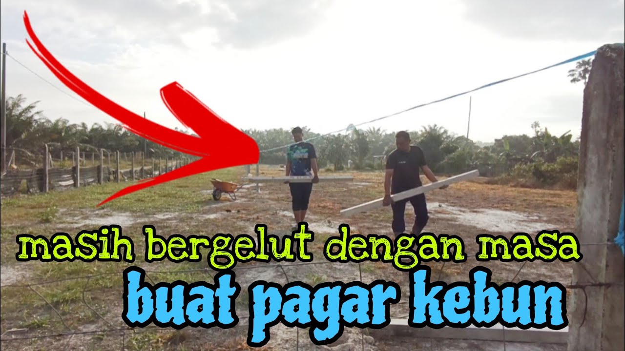 [Episod1619] buat yang hujung dulu. dua minggu belum siap pagar kebun abah
